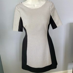 Formal Polka Dot Dress from BCBG
